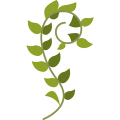 Elegant Green Vine Swirl With Leaves On Transparent Background Natural Organic Plant Element Design...