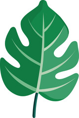 Abstract Tropical Monstera Leaf Vector Illustration, Green Plant Foliage Element for Nature and Jungle Designs