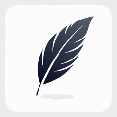 Elegant feather illustration on white background for creative designs