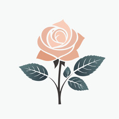 Elegant floral rose illustration with detailed petals and leaves on white background