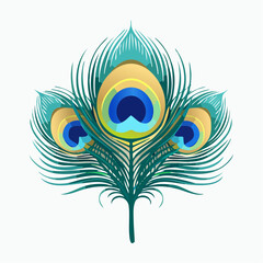 Elegant peacock feather vector illustration isolated on white background