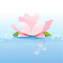 Elegant pink lotus flower floating on water with reflections