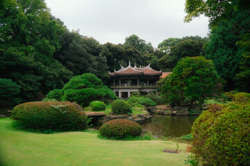 Obraz premium japanese garden