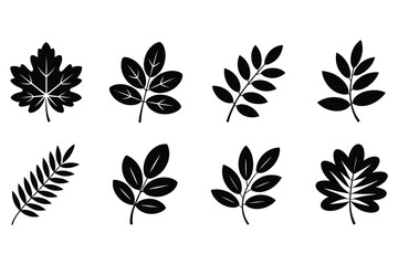 Black Leaf Silhouette Icon Set – Minimal Nature Botanical, Maple, Oak, Fern, and Foliage Vector Collection