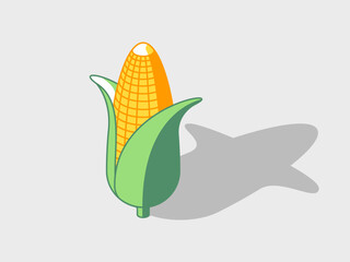 Corn isometric vector illustration with shadow