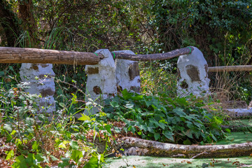 Rustic wooden fence protecting rural green nature