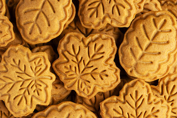 Close-up of honey or gingerbread cookies shaped like autumn leaves. Maple and oak leaves made from shortcrust pastry. Autumn baking