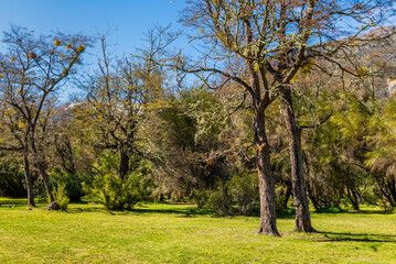 Obraz premium On the Road, Cerro Tronador, Bariloche, Rio Negro Province, Patagonia, Argentina