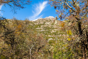 On the Road, Cerro Tronador, Bariloche, Rio Negro Province, Patagonia, Argentina
