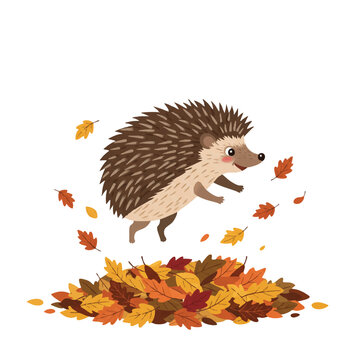 A funny hedgehog comically leaps into a vibrant pile of autumn leaves, sending colorful foliage playfully scattering around in this delightful 2D flat vector illustration.