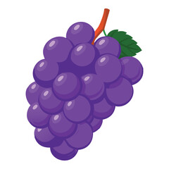 A vibrant bunch of ripe purple grapes with a single green leaf and stem on a white background