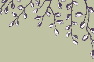 Easter spring frame, border with sprigs of willow. Template hand drawn design for banner, poster, card, paper. Holiday print. Branch with pussy willow buds. Vector illustration background. © Alla