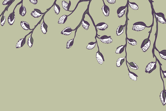 Easter spring frame, border with sprigs of willow. Template hand drawn design for banner, poster, card, paper. Holiday print. Branch with pussy willow buds. Vector illustration background.
