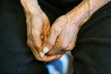 Elderly Woman’s Hands Showing Age and Wisdom