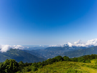 Obraz premium The love of green and blue