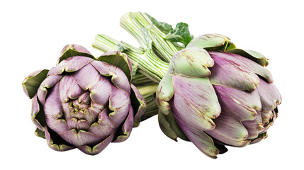 Two fresh purple artichokes with stems isolated on a transparent background