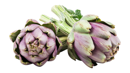 Two fresh purple artichokes with stems isolated on a transparent background
