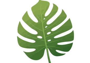 Illustrated Monstera Leaf with Distinctive Fenestrations and Vibrant Green Hue.