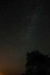 Breathtaking view of a starlit sky at night over the silhouette of trees and foliage below.