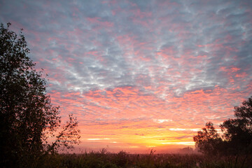 Dramatic clouds fill the sky as the sun sets behind them, casting a warm glow over the landscape. The silhouette of trees and power lines can be seen in the foreground.