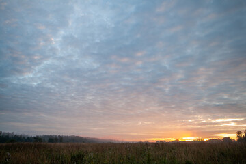 Bright orange and pink hues of the sun setting behind a line of trees.