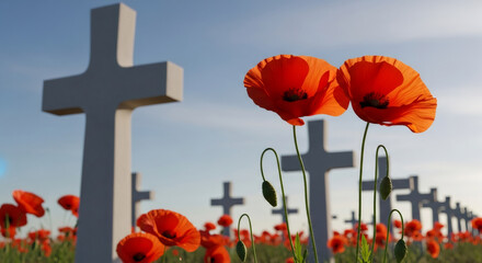 Vibrant red poppies sway gently in a serene field of white crosses, capturing the essence of remembrance and peace, camera pans across the scene