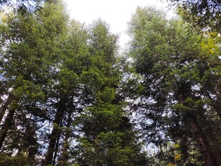 Beautiful nature photos