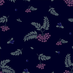 Seamless dark blue pattern. Rowan berry clusters and  Blueberries on navy blue background. Vector