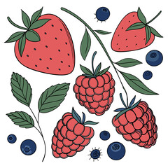 Illustration of strawberries, raspberries, and blueberries