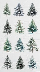Obraz premium Watercolor Christmas tree design element set