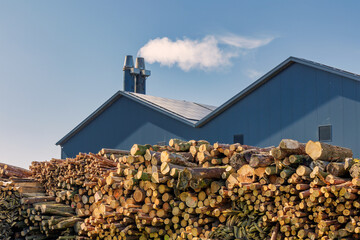 Dutch factory for making biofuel wooden chips of forest wood