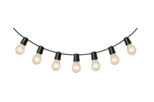 Decorative string lights with warm bulbs arranged in curved line across transparent background