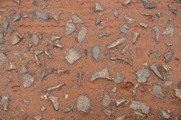 Close-up view of rocky soil. Wet soil texture background.