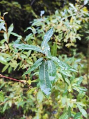 Beautiful nature photos