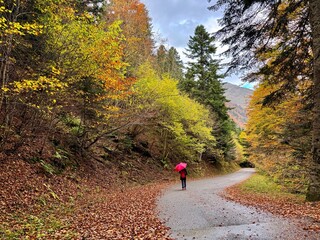Senderismo bajo la lluvia en la naturaleza pirenaica