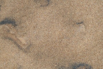 Sand texture seamless background. Uneven sand or natural soil near the sea shore.