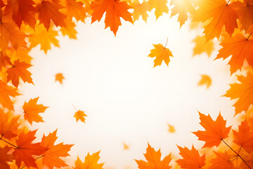 Fototapeta premium Fall Background With Orange Leaves And Sunlight 