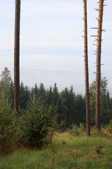 cloudy and inversion in the valley.