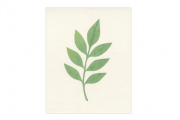 Green botanical sprig watercolor illustration on canvas for nature, organic, and minimalist design concepts