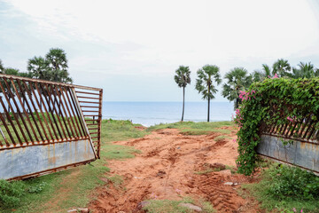 Gateway to beach. Palm trees and the tropical landscape of summer scenery.