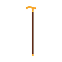 Elegant Victorian man cane with decorative handle on white background, isolated vector illustration