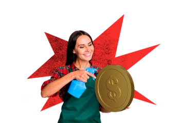 Composite photo collage of happy girl hold spray clean usd coin money income success profit development isolated on painted background