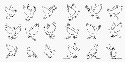 Continuous line art drawings of doves in different poses, some carrying olive branches, symbolizing peace and freedom.