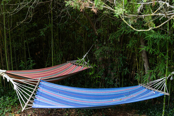 hammocks in a bright green garden