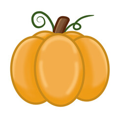 Vector illustration of pumpkin, pumpkin, halloween