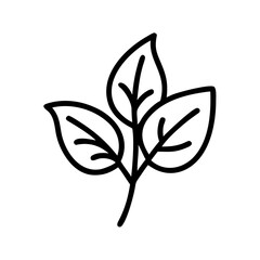 Botanical Basil Design