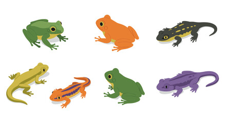 Fototapeta premium Colorful amphibians set featuring frogs and salamanders in flat design