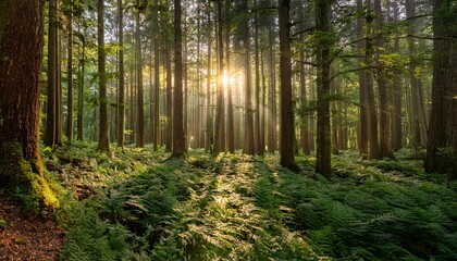 Obraz premium Deep Within A Tranquil Forest The Fading Light Of Evening Filters Through The Towering Trees Creating A Mystical Ambiance That Highlights The Rich Greens Of The Underbrush