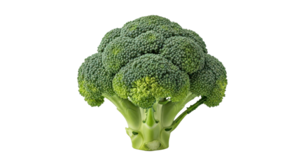 Fresh Broccoli head for healthy eating isolated PNG with Transparent Background