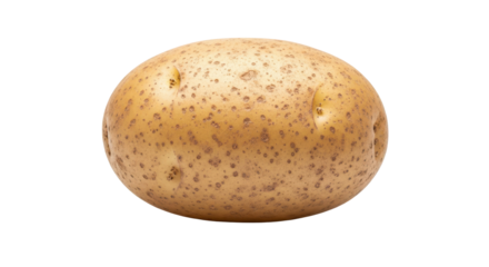 Single potato, a healthy food item isolated PNG with Transparent Background